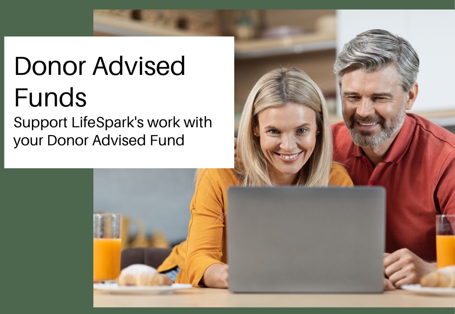 The Architecture of Donor Advised Fund Censorship Structural Friction in Private Philanthropy